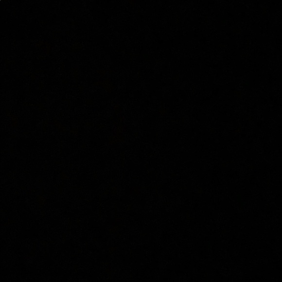 Meet your Posher, Alana - Picture 1 of 1